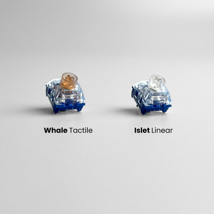 Ocean Key Switch Quiet MX – Kailh Deep Sea Whale (Tactile 45gf) Key Switch (5 pcs) – beekeeb