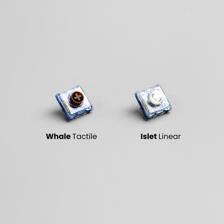 Ocean Key Switch Silent Choc v2 – Kailh Deep Sea Mini Whale (Tactile) Key Switch (5 pcs ...
