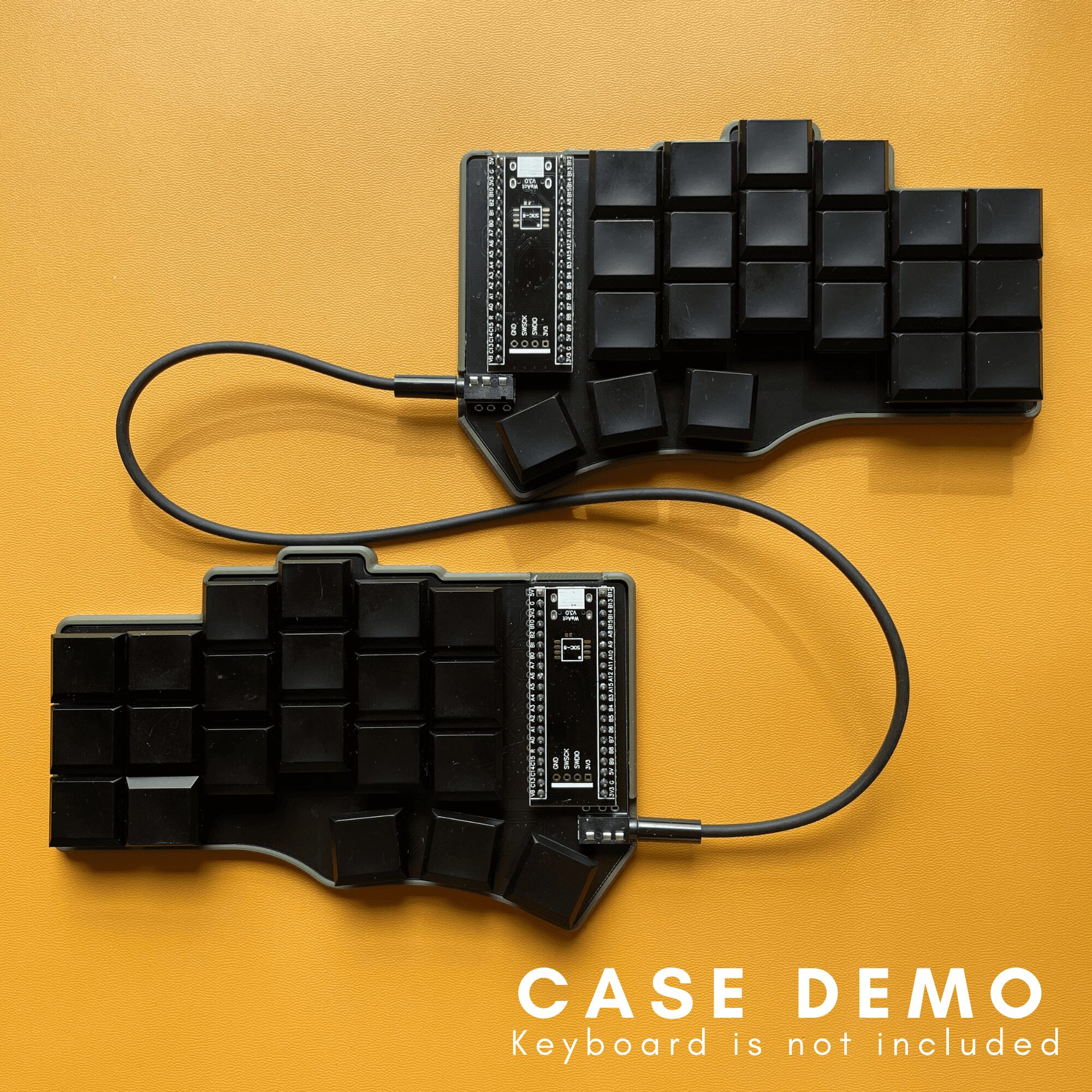 Case Demo