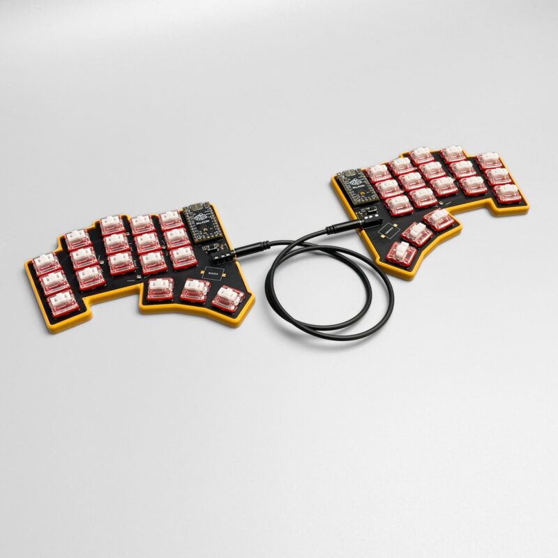 dasbob case