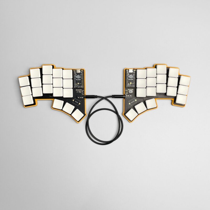 dasbob case